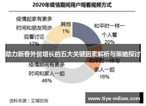 助力新春外贸增长的五大关键因素解析与策略探讨